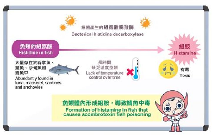 Does searing tuna kill bacteria?