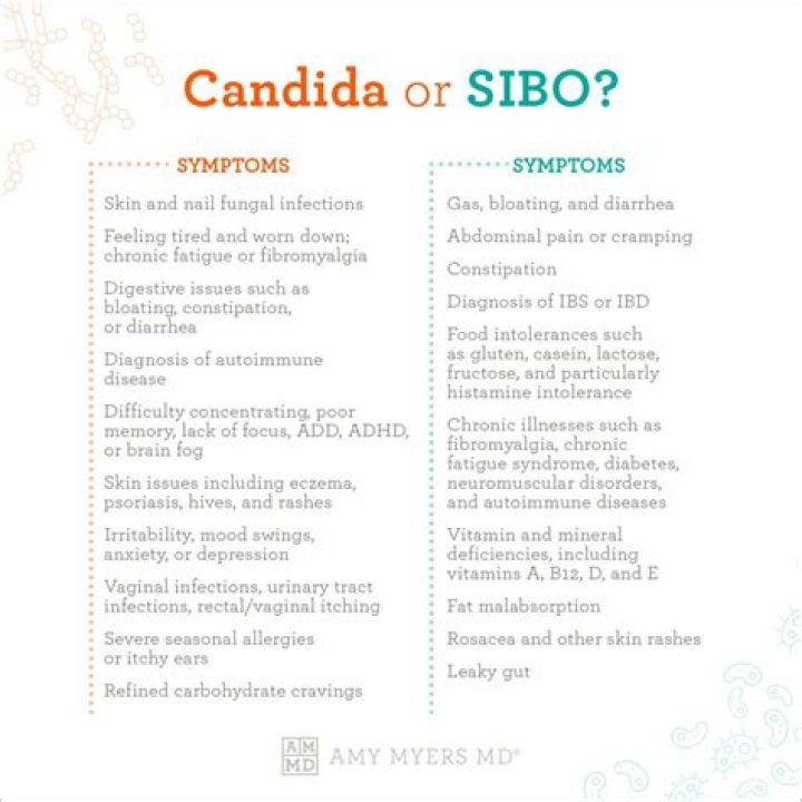 Does Stevia feed Candida?