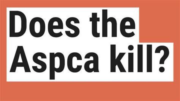 Does the Aspca kill?