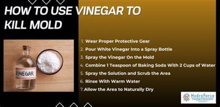 Does vinegar help prevent mold?