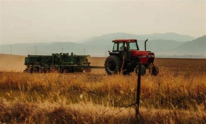 Does Walmart own Tractor Supply?