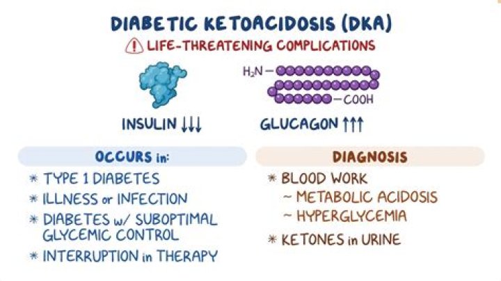 Does Zevia affect ketosis?