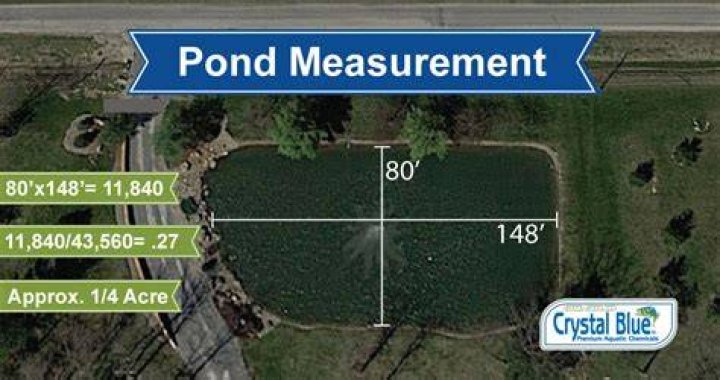 How big is a quarter acre pond?