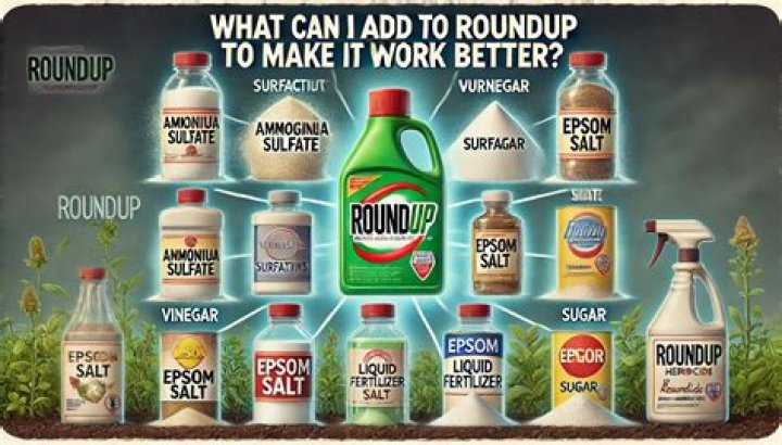How can I make Roundup work better?