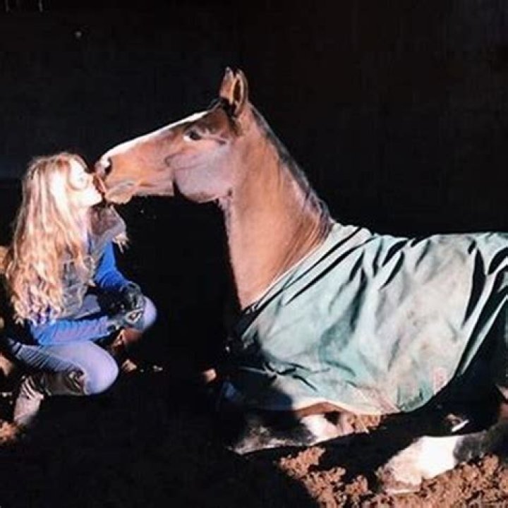 How can you tell if a horse is scared?