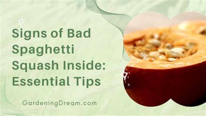 How can you tell if a spaghetti squash has gone bad?