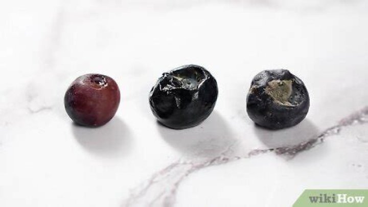 How can you tell if blueberries are moldy?
