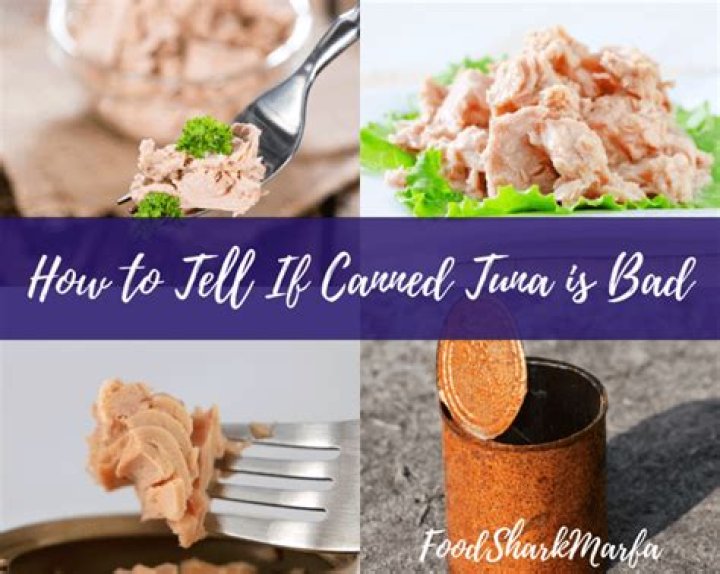 How can you tell if canned tuna is bad?
