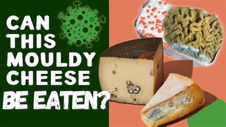 How can you tell if cheese is moldy?