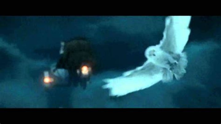 How did Hedwig die?