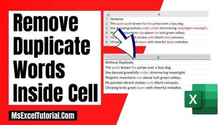 How do I delete duplicate words in a cell?