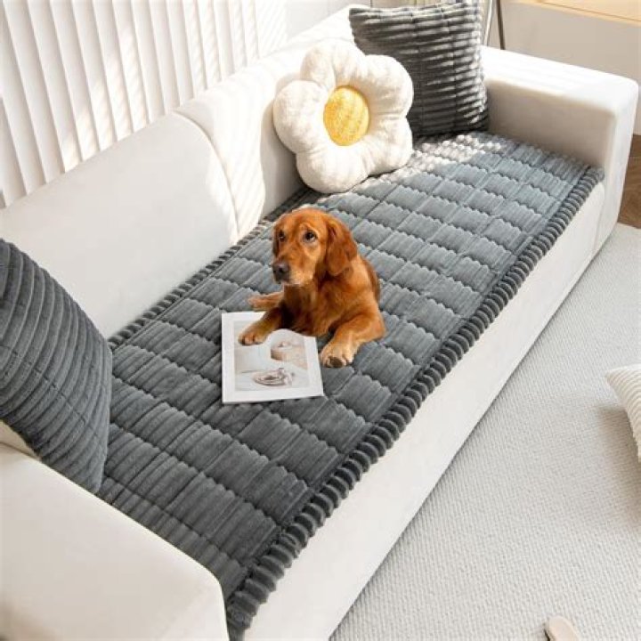 How do I get my dog’s couch cover in place?