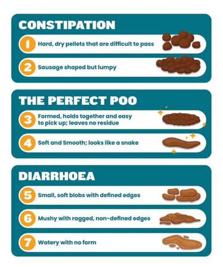 How do I get rid of my constipated cat poop?