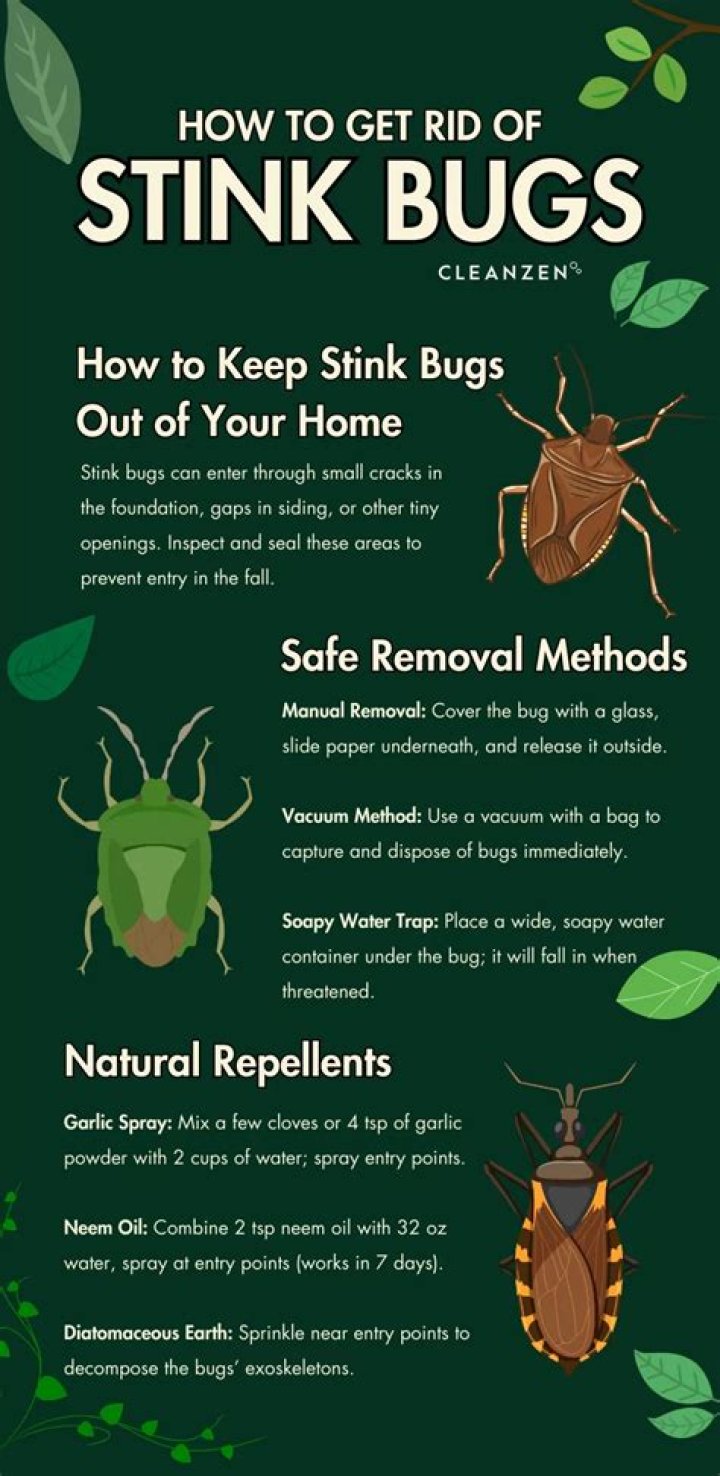 How do I keep stink bugs out of my window air conditioner?