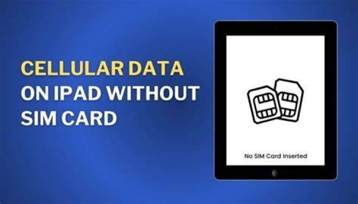 How do I know if my iPad has cellular capability?