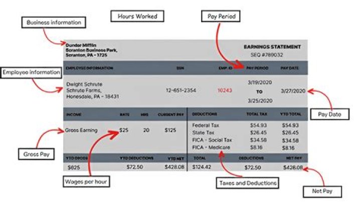 How do I read my pay stub?