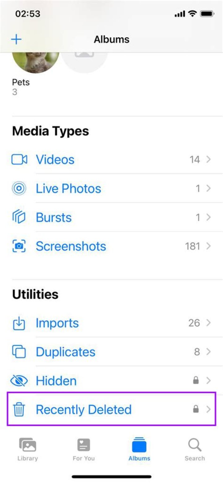 How do I stop my Instagram from being deleted?