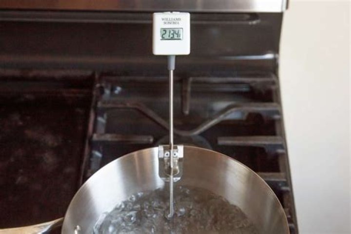 How do I use the Williams Sonoma Bluetooth thermometer?