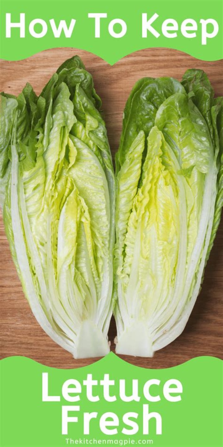 How do restaurants keep lettuce fresh?