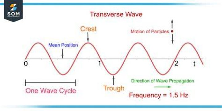 How do you calculate transverse waves?