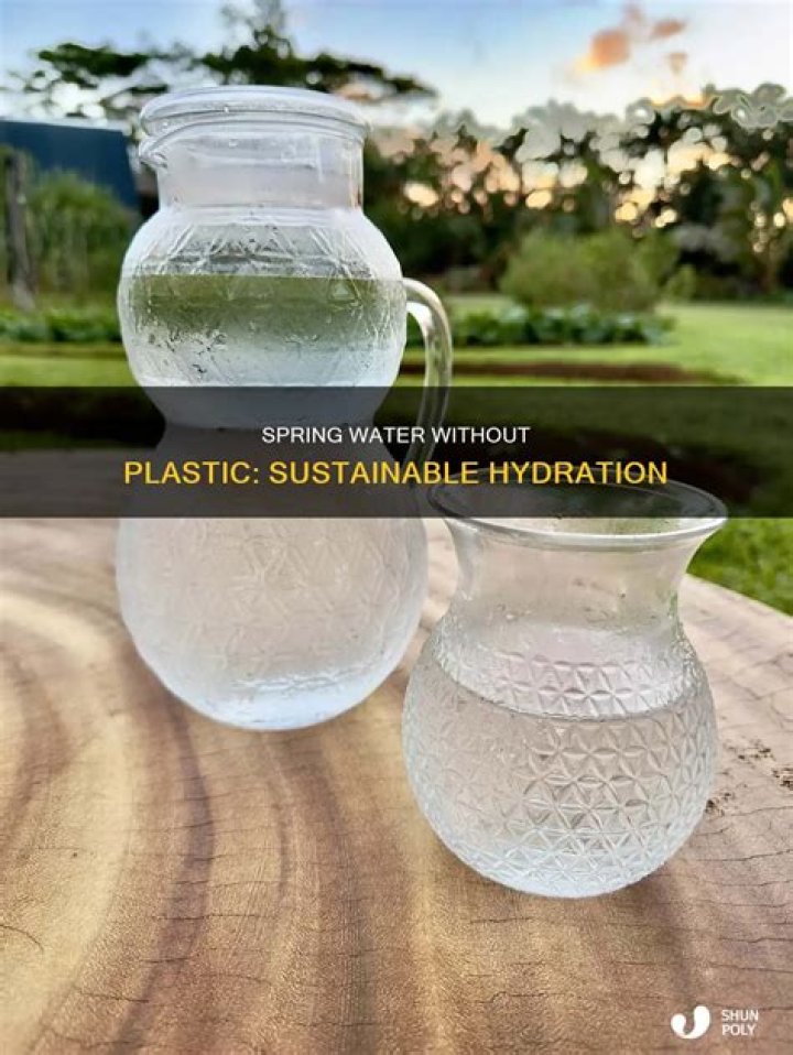 How do you drink spring water without plastic?