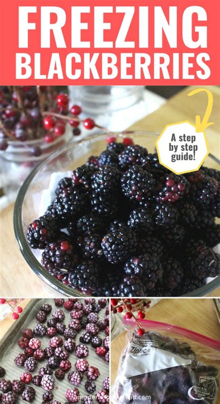 How do you freeze blackberries without getting mushy?