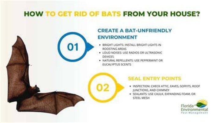 How do you get rid of bats in the winter?