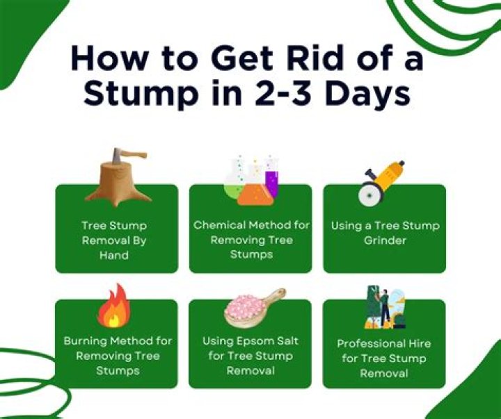 How do you get rid of rotten tree stumps?