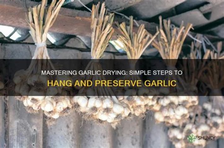 How do you hang garlic in the kitchen?