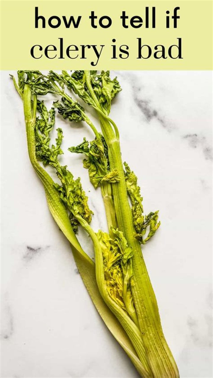 How do you know if celery has gone bad?