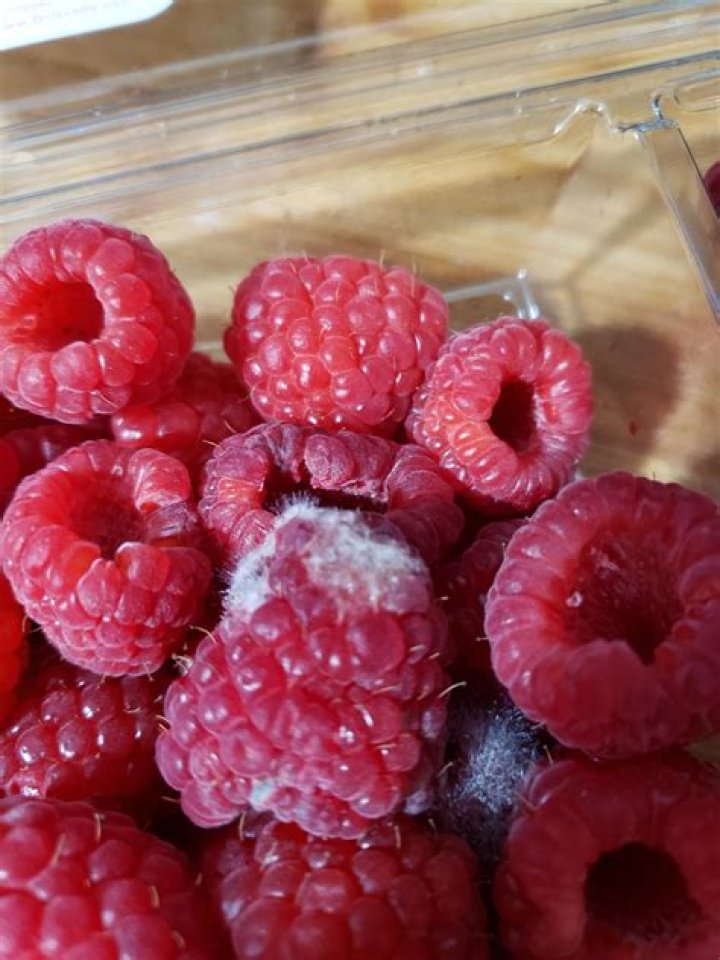 How do you know if raspberries have mold?