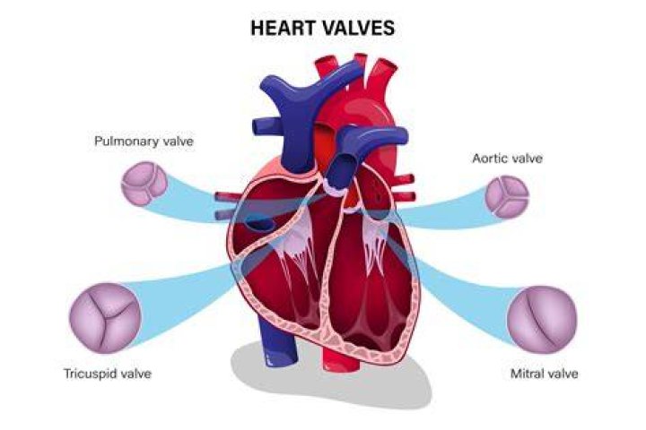 How do you lap valves at home?