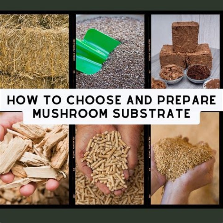 How do you make a mushroom substrate?