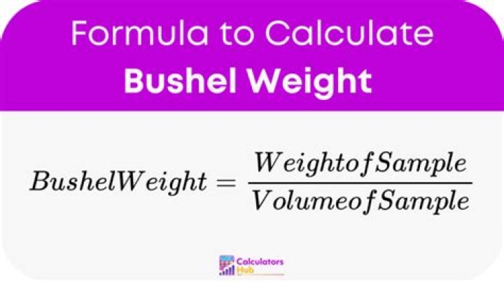 How do you measure a bushel weight?