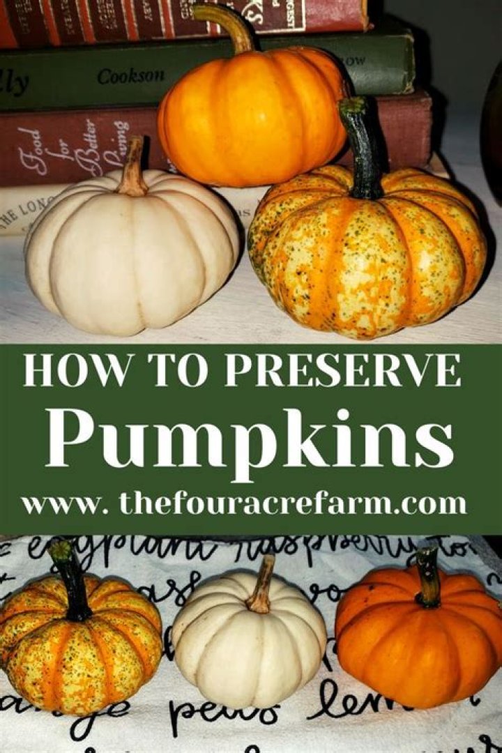 How do you preserve a pumpkin forever?