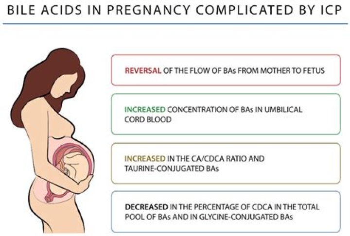 How do you stop throwing up bile when pregnant?