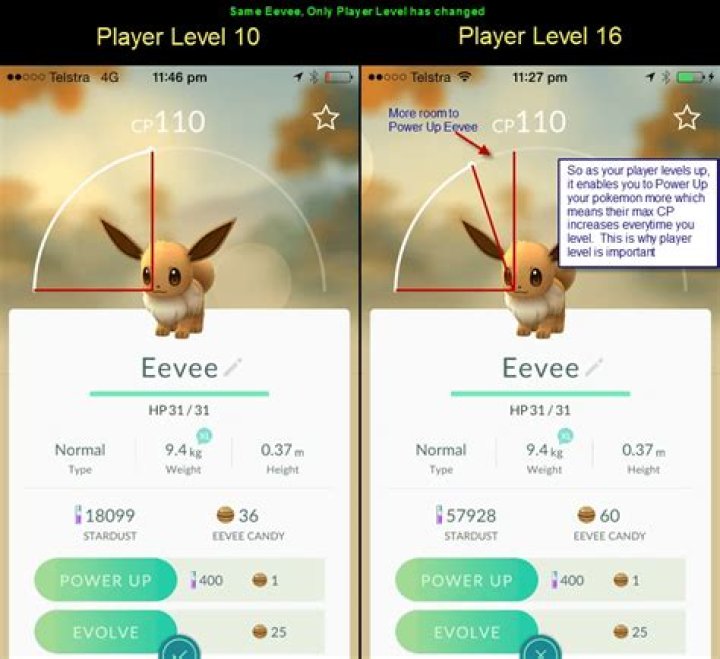 How do you tell what level your Pokemon is in Pokemon go?