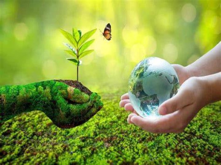 How do you use Eco Earth?