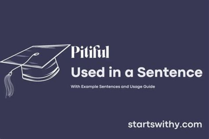 How do you use pitiful in a sentence?