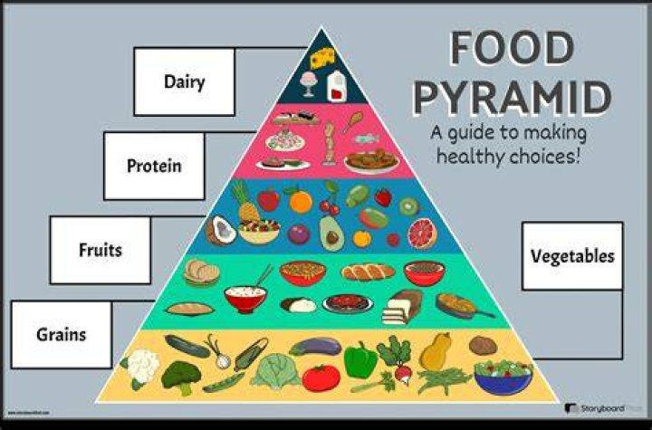 How do you use the food pyramid?