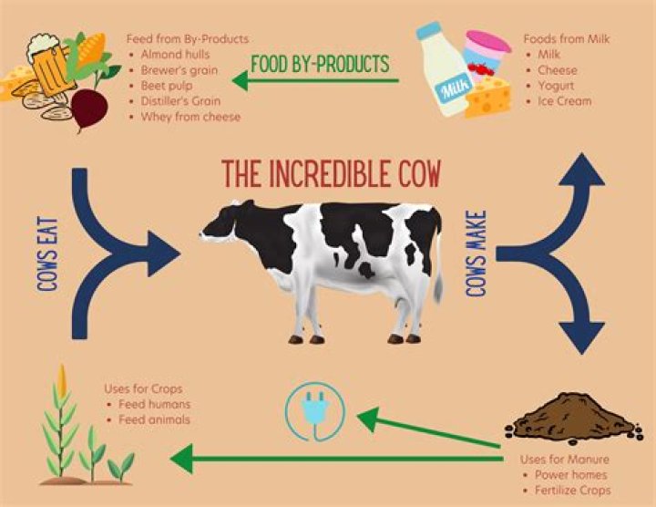 How does Almond Cow work?