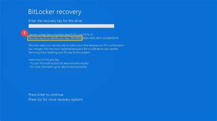 How does BitLocker work on Windows 10?