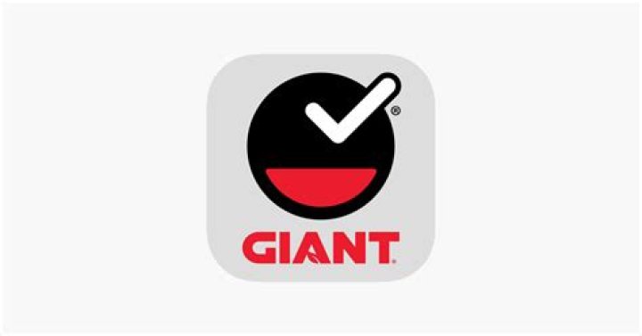 How does giant scan It app work?