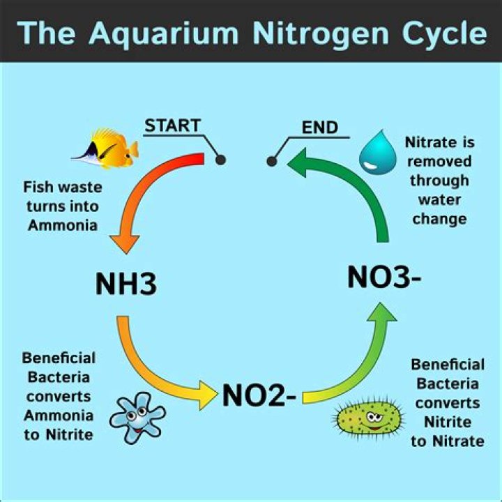 How does sodium nitrate kill you?