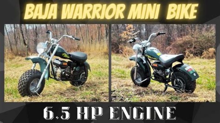 How fast is a 6.5 HP mini bike?