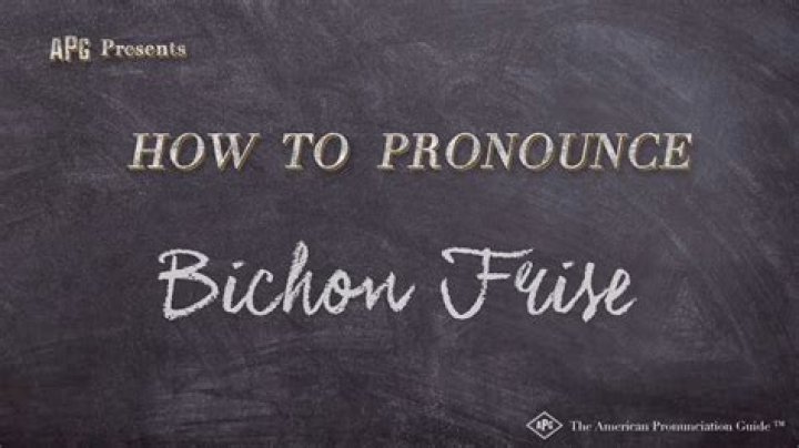 How is Bichon Frise pronounce?