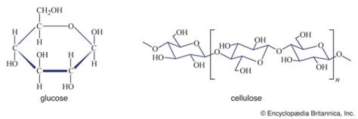 How is cellulose turned into sugar?