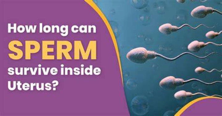 How long can sperm survive at room temp?