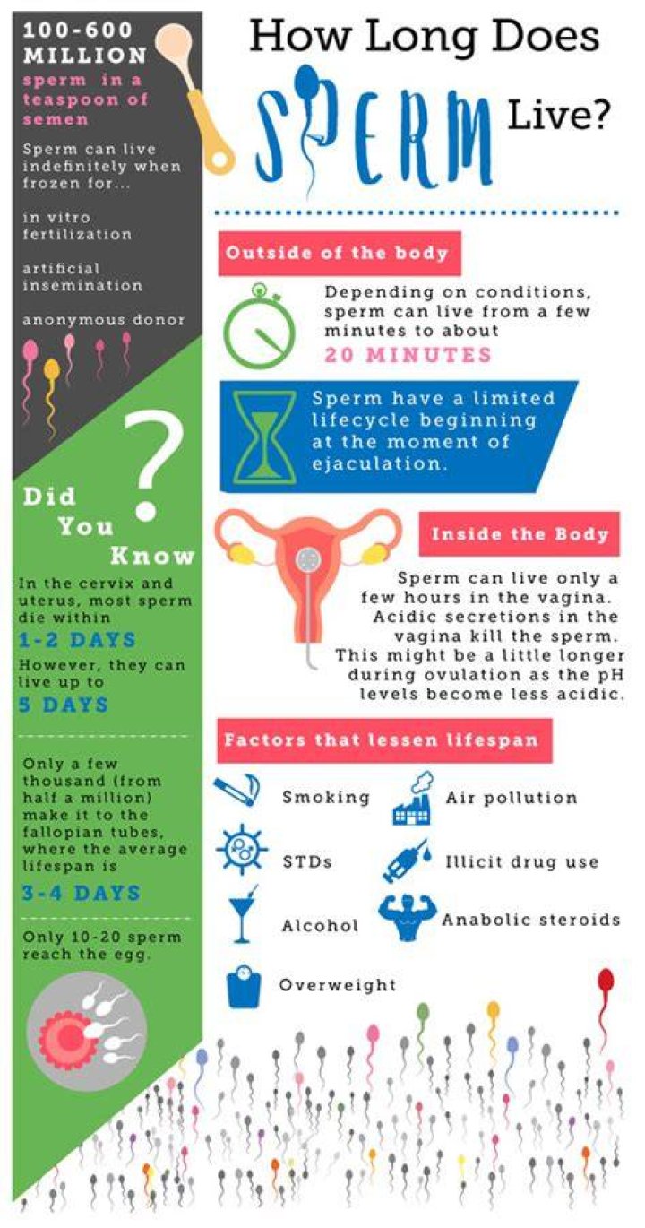 How long can sperm survive in open air?