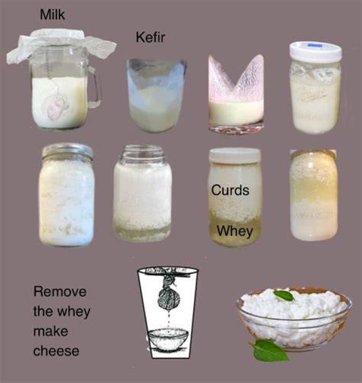 How long do kefir grains last?